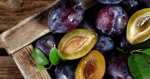 Juicy Plums in Wooden Crate with Fresh Leaves