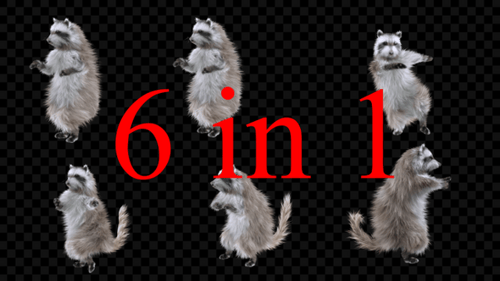 Animated 3D Raccoons Performing Dynamic Actions with Alpha Channel