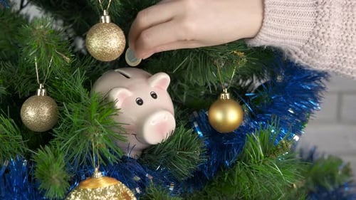Put Money for Christmas