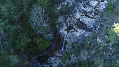 Forest Waterfall