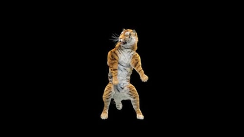 Tiger-Tanz HD
