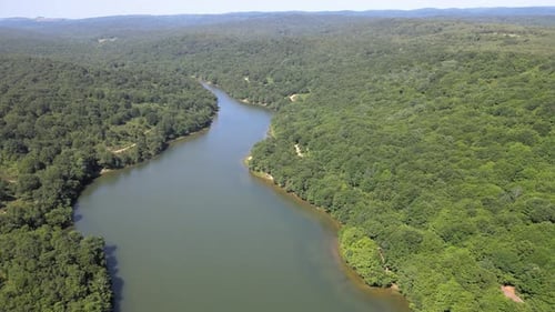 See, grüner Wald