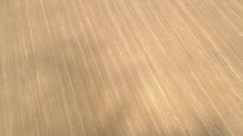 Agricultural field ploughed 4K drone video