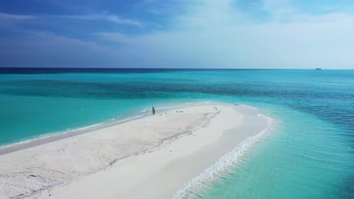 Aerial drone shot scenery of idyllic shore beach wildlife by shallow ocean and white sandy backgroun