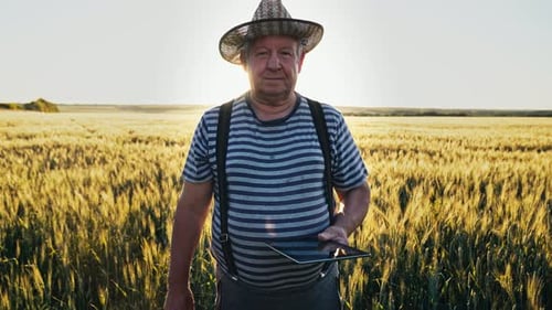 Successful Elderly Farmer Staying in Wheat Field with Digital Tablet and Happy Looking Into Camera