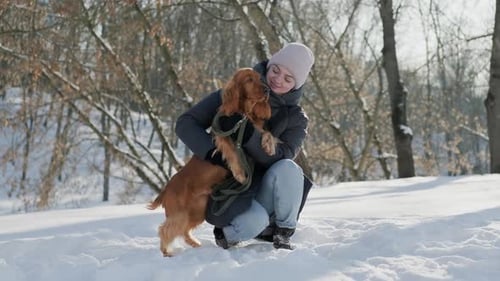 Junge Frau sitzt von Angesicht zu Angesicht und spielt mit ihrem Spanielhund im Winterpark