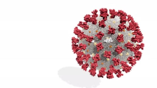 Animated 3D Medical Virus Cell Rotating on White Background