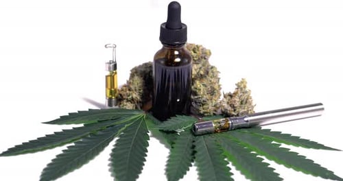 Exibição de óleo de maconha Cbd de vaperizor e véu por folhas e brotos