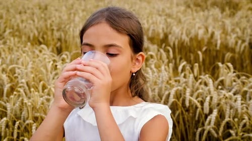 Young Girl Drinks Water in Wheat Field
