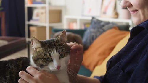 Woman Affectionately Petting a Cat on Sofa