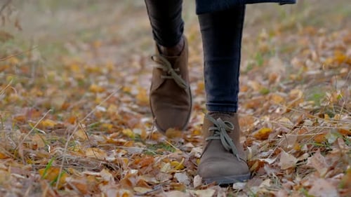 Walking in Leaves During Autumn in Nature