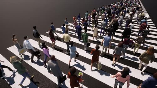 People Crowd Aerial Top View Zebra.