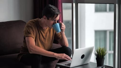 Young Adult Uses Laptop and Drinks From Mug