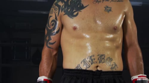 Boxer Ready To Fight At The Gym 28