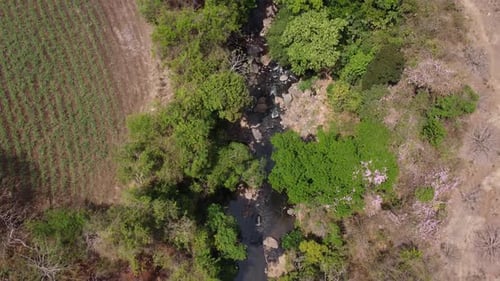 Tropical Stream In Between Dry Croplands