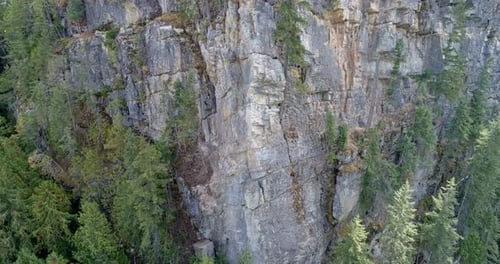 Montagne rocheuse avec forêt verte
