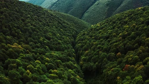 Aerial View Drone Footage: Flight Over Green Meadow with Holiday Camp. Forest and Mountain Range in