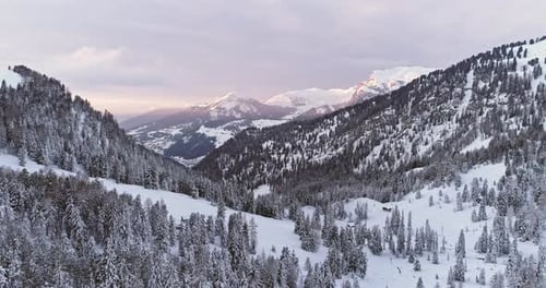 Seitenantenne zum Snowy Valley mit Woods Forest am Sellapass