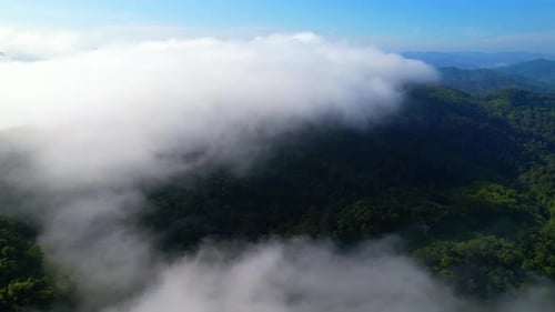 4K aerial view from a drone flying over the valley, fog in the morning