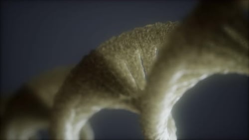 Loop Double Helical Structure of Dna Strand Close-up Animation