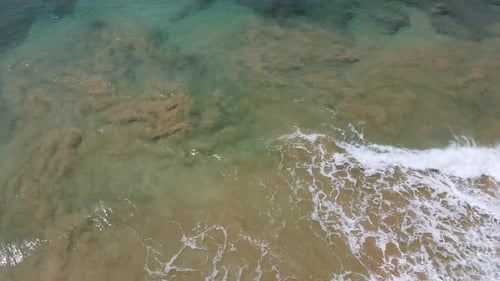 Imágenes aéreas Zumbido de surfistas esperando el próximo viaje en la gran ola oceánica en una hermosa vista aérea