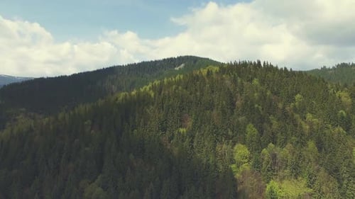 Aerial View of Green Forest Covered Mountains