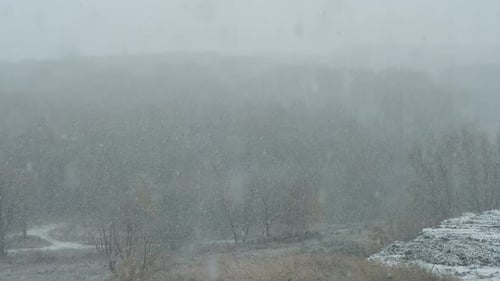 Snowfall Over Tranquil Winter Landscape