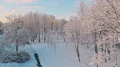 Winter Park