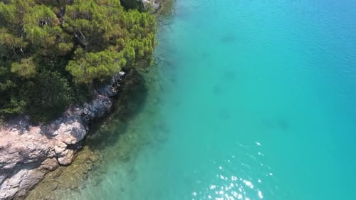 Forested Coastline by the Sea
