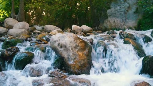 Bachwasser