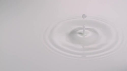 Liquid Droplet Creates Ripples on a Pool of Milk