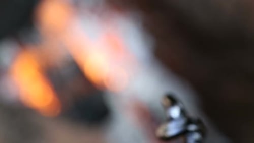 Stick Covered in Black Substance Dripping