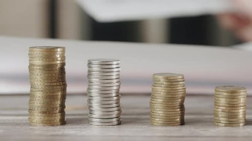 A Woman is Calculating Her Expenses for a Month