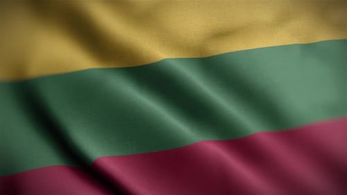 Realistic Waving Flag Animation with Fabric Texture