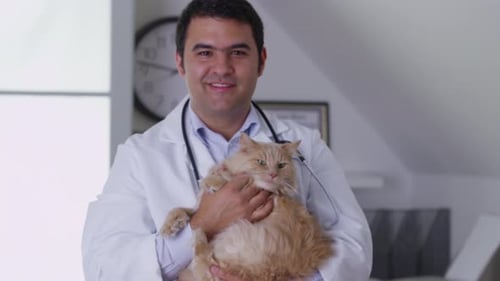 Veterinarian Holding Orange Cat in Clinic