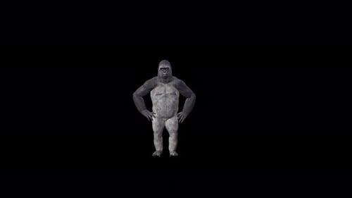 Danse des yeux en coton 4K Gorilla