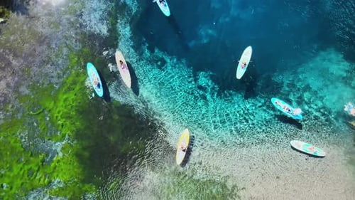 People Paddleboarding on Clear Turquoise Water, Aerial View