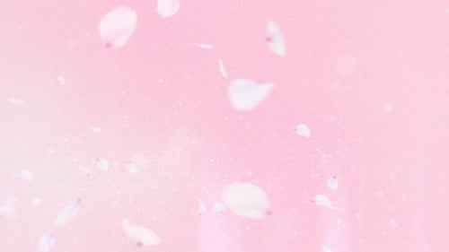 Cherry Blossom Background