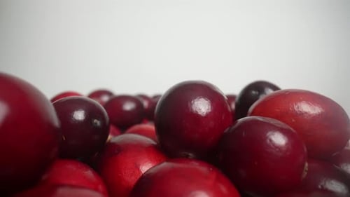 Cranberries 12