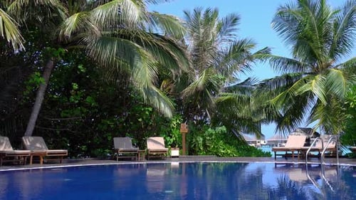 Tropical Swimming Pool Surrounded by Palm Trees