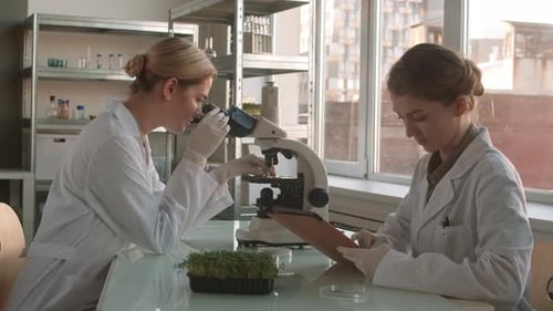 Female Scientists Working with Microscope in Laboratory