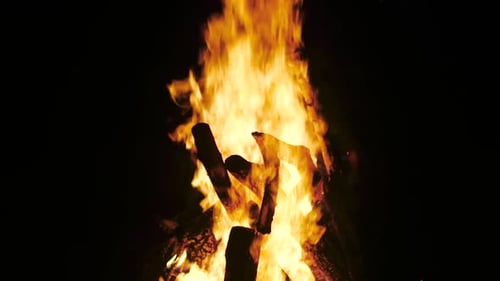 Big Bonfire Brennendes Feuer vor schwarzem Hintergrund