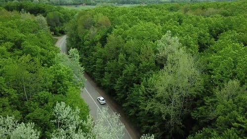 Aerial Top Down View of White Car Driving on Rural Road in Forest