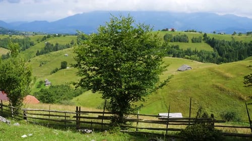 Beau paysage rural