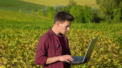 Ein Pflanzenspezialist mit Laptop, der das Feld Soja vor dem Hintergrund des Grüns überprüft. Konzept Ökologie
