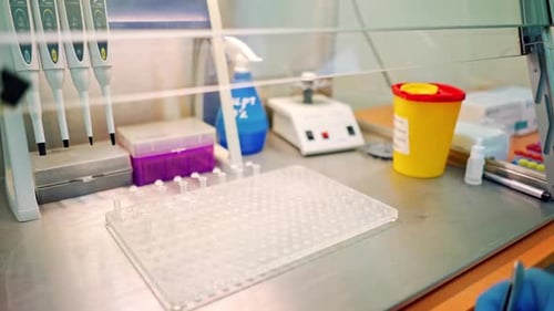 New small test tubes laying out on a plastic rack.
