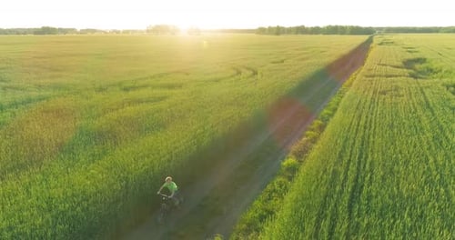 Vista aérea de un niño que monta una bicicleta a través de un campo de pasto de trigo en el viejo camino rural