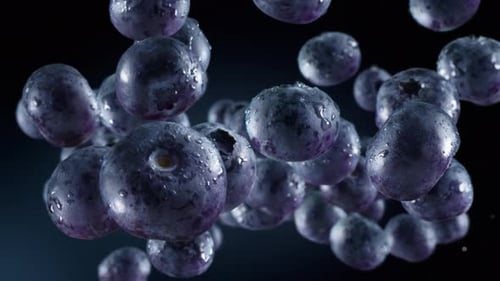 Wet Blueberries Floating in Slow Motion