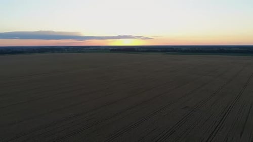 Vista aérea sobre un campo de trigo durante la puesta de sol o amanecer Zumbido Shot Paisaje