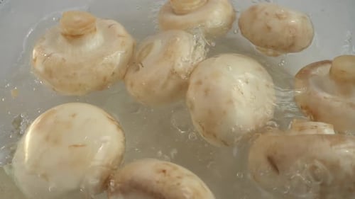 Cogumelos Agaricus caindo em uma tigela de vidro com água. Câmera lenta.